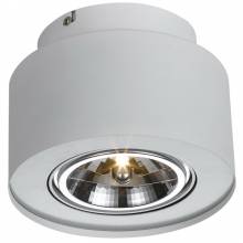 Точечный светильник CLIFF Arte Lamp A5643PL-1WH