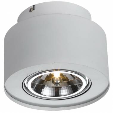 Точечный светильник Arte Lamp A5643PL-1WH CLIFF