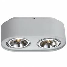 Точечный светильник CLIFF Arte Lamp A5643PL-2WH
