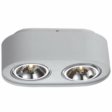 Точечный светильник Arte Lamp A5643PL-2WH CLIFF