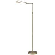 Торшер Wizard Arte Lamp A5665PN-1AB