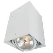 Точечный светильник CARDANI Arte Lamp A5936PL-1WH