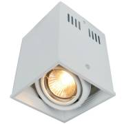 Точечный светильник CARDANI Arte Lamp A5942PL-1WH