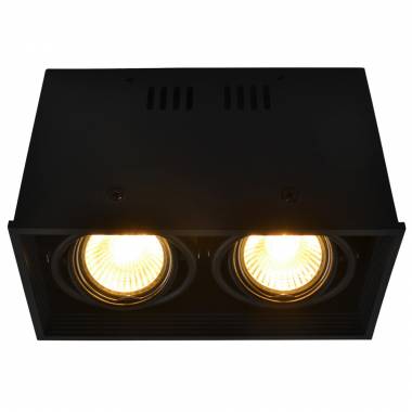 Точечный светильник Arte Lamp A5942PL-2BK CARDANI