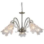 Люстра ASTERIOS Arte Lamp A6273LM-5AB