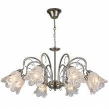 Люстра ASTERIOS Arte Lamp A6273LM-8AB