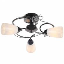 Люстра VERSITA Arte Lamp A6545PL-3BC