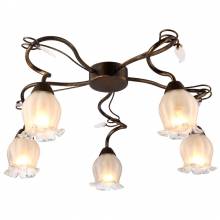 Люстра PAULINA Arte Lamp A7449PL-5BR