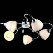 Люстра Caprice Arte Lamp A9488PL-5CC