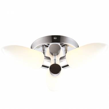 Светильник для ванной комнаты Arte Lamp A9502PL-3CC Aqua