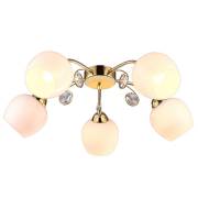 Люстра MILLO Arte Lamp A9549PL-5GO