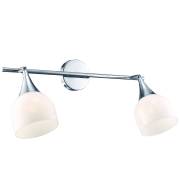 Спот TRUMPET Arte Lamp A9556AP-2CC