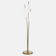 Торшер Typha BLS 17786