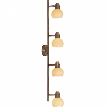 Спот Citilux CL516543 Бонго