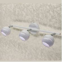Спот Раймонд Citilux CL555530