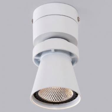 Спот Citilux CL556510 Дубль-1