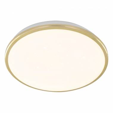 Светильник для ванной комнаты Citilux(Луна) CL702302Wz