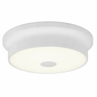 Светильник Citilux CL706210 Фостер-2