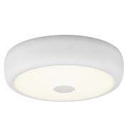 Светильник Фостер-3 Citilux CL706310