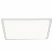 Точечный светильник Омега Citilux CLD50K220