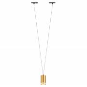  CLT 0.31 Crystal lux CLT 0.31 014 GO