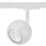  CLT 0.31 Crystal lux CLT 0.31 017 WH