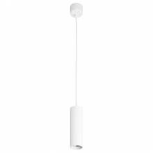 Светильник DK2055 DENKIRS DK2055-WH
