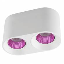 Точечный светильник DK3096 DENKIRS DK3096-WH+PI