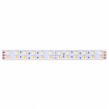  Серия DSG5 (5050) DesignLed DSG5120-24-NW-33