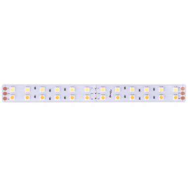 Светодиодная лента DesignLed DSG5120-24-WW-33 Серия DSG5 (5050)