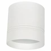 Точечный светильник Darmskat Donolux DL18482/WW-White R