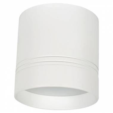 Точечный светильник Donolux DL18482/WW-White R Darmskat