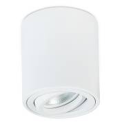 Точечный светильник BASIS Donolux DL18613R1W