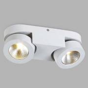 Точечный светильник Bisco Donolux DL18699/12WW-White
