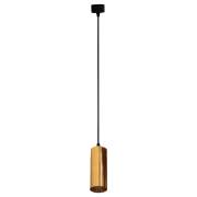 Светильник ROLLO Donolux DL18895R1BBrass S