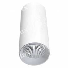 Точечный светильник ROLLO Donolux DL18895R20N1W ST