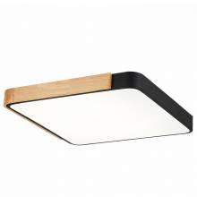 Светильник FESTA EVOLUCE SLE201242-01