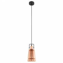 Светильник FRAMPTON Eglo 49153