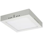Точечный светильник DLS020 Elektrostandard DLS020 24W 4200K
