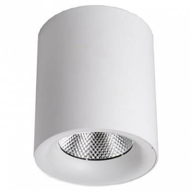 Точечный светильник Elvan NLS-584-24W-NH white