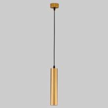 Светильник Single Eurosvet 50161/1 LED золото