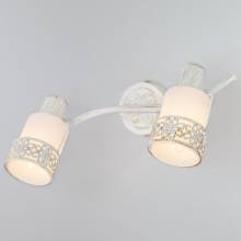 Спот Silvia Eurosvet 20025/2 белый с золотом