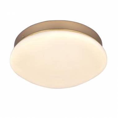 Светильник F-Promo(Ledante) 2466-1C