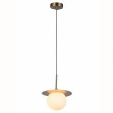 Светильник Roshni F-Promo 3050-1P Светильник Roshni F-Promo 3050-1P