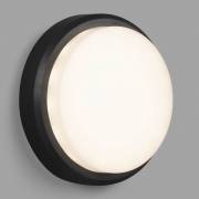  TOM Faro Barcelona 70682