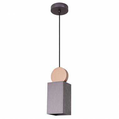 Светильник Favourite(Otium) 2213-1P