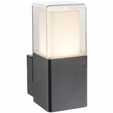  Dalia Globo 34575W