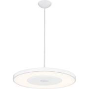 Светильник Felion Globo 41321H