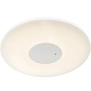 Светильник FELION Globo 41324