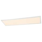 Светильник Rosi Globo 41604D4F
